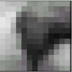 Gambar 2. Citra berbentuk kotak-kotak (pixel)