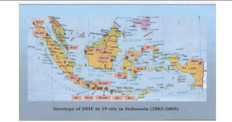 Gambar 3. Peta penyebaran serotype virus dengue di 19 kota di Indonesia 