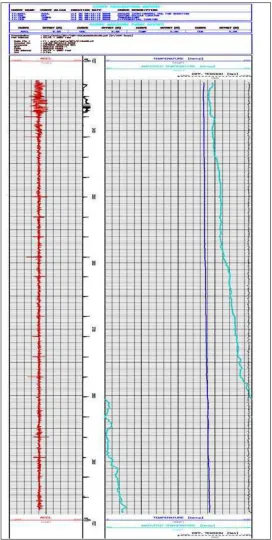 Figure 1. Temperature log does not indicate any temperature anomaly. 