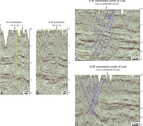 Fig. 6. Seismic proﬁles acquired prior to the Lusi eruption. (A) N–S and (B) E–W oriented proﬁles crossing the Lusi mud volcano