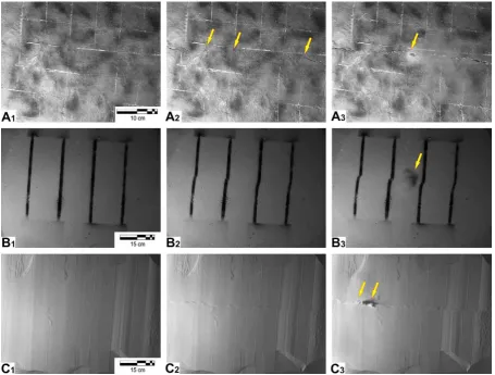 Fig. 7. Analogue shearing experiments of overpressured granular media. (A1) Initial experiment setup using high cohesive China clay; (A2) beginning of shearing and occurrence oftensile cracks; seepage of air occurs along the tensile cracks (arrowed); (A3) 