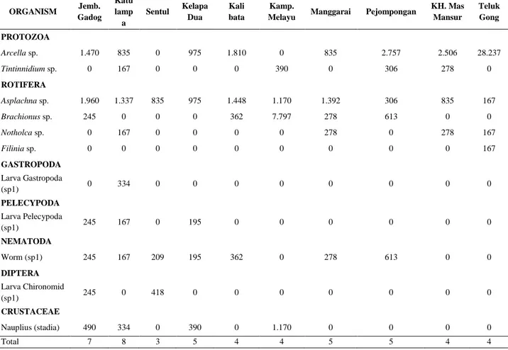 Tabel 2. Distribusi kelimpahan zooplankton (ind/m 3 ) berdasarkan kelas di sungai Ciliwung 