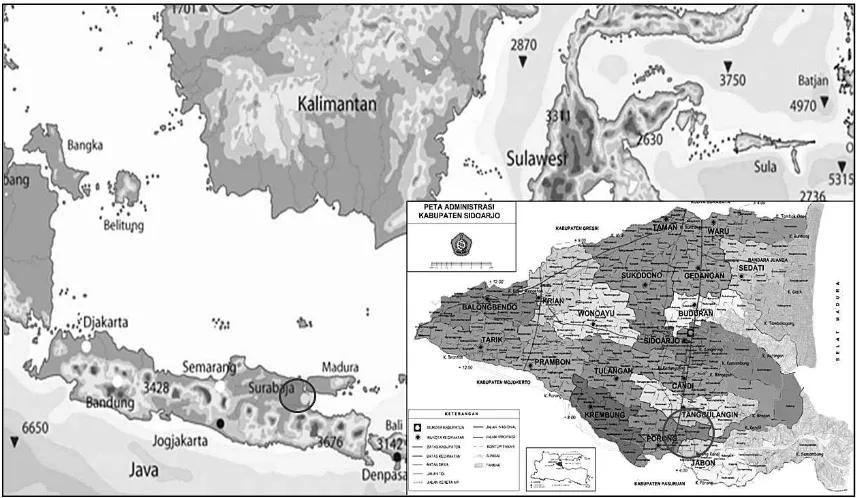 Figure 1. Map of the Sidoarjo Mudflow Area 
