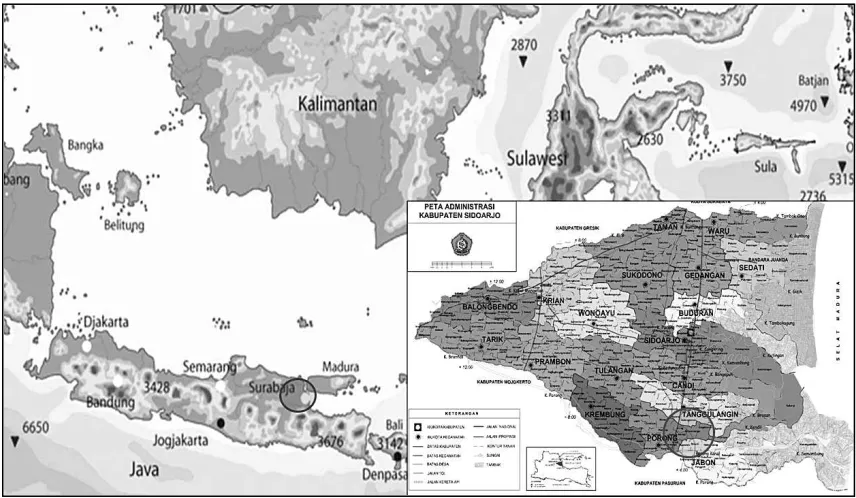 Figure 1. Map of the Sidoarjo Mudflow Area 