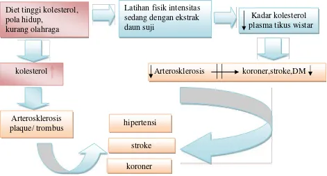 Gambar 1. Kerangka konsep pengaruh pemberian ekstrak klorofildaun suji dan latihan intensitas sedang terhadap kadarkolesterol tikus putih (rattus norvegicus) yang diberidiet tinggi lemak (Sadoso S, 2009)