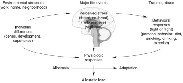 Gambar 2.1 Peran utama otak dalam menelaah kejadian-kejadian yang memicu stres dan respon  tingkah laku respon fisiologis terhadap kejadian-kejadian tersebut (Arnetz dan Ekman, 2006).