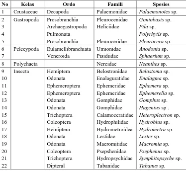 Tabel 4.1 Klasifikasi Makrozoobentos Yang Didapatkan Pada Setiap Stasiun  