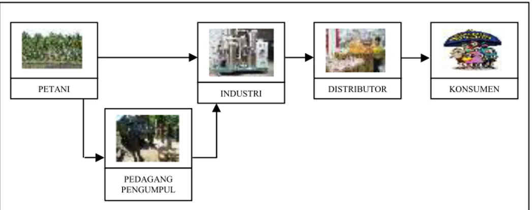 Gambar 1 merupakan tahapan rantai pasok agroindustri minyak kelapa. 