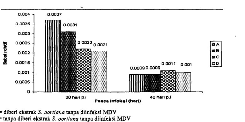 Gambar 1. Bobot relatif bursa fabricius pada 20 hari dan 40 hari pascainfeksi 