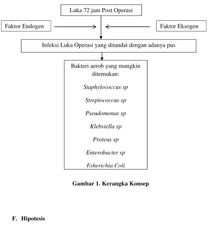 Gambar 1. Kerangka Konsep