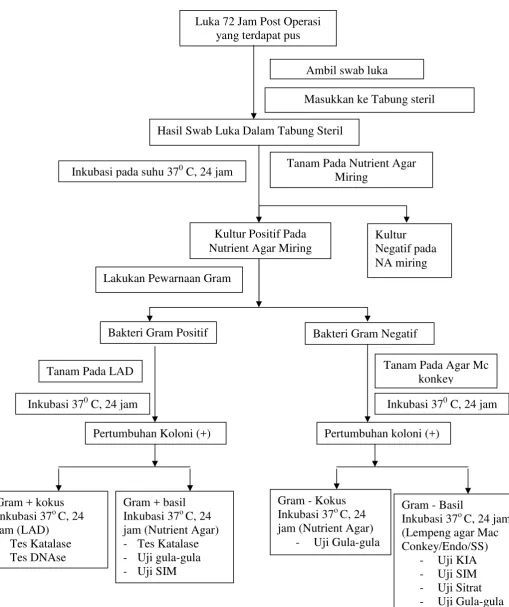 Gambar 7. Diagram alur penelitian