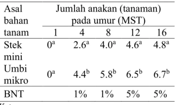 Tabel 2. Jumlah  anakan  pada  perlakuan  bahantanam asal umbi mikro dan  stek mini 