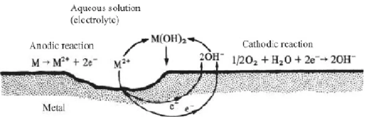 Gambar 2.2   Model sederhana yang menunjukkan reaksi elektrokimia dari proses  korosi [13]