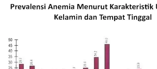 Grafik 13 Prevalensi Anemia Gizi Pada Ibu Hamil 