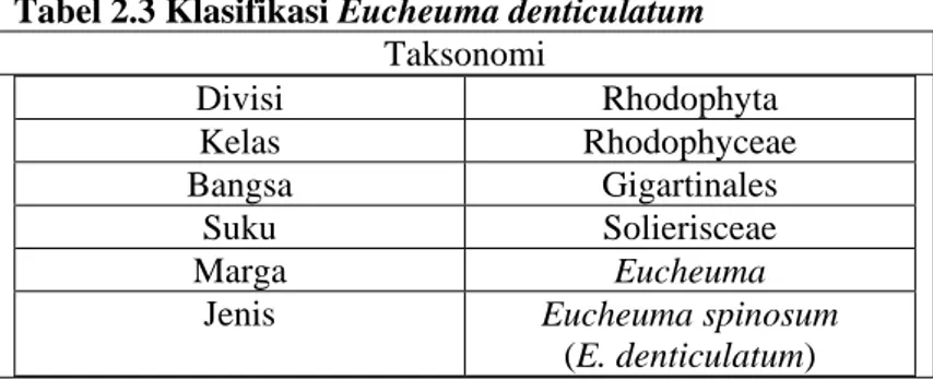 Tabel 2.3 Klasifikasi Eucheuma denticulatum  