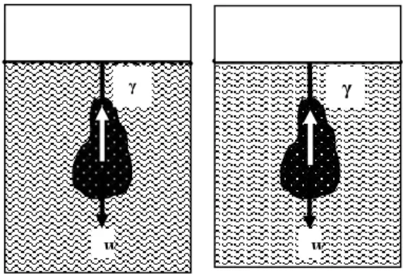 Gambar  1.1  menunjukkan  dua  diagram  benda  bebas  untuk  benda  yang  sama  digantung  serta  ditimbang  dalam  dua  fluida