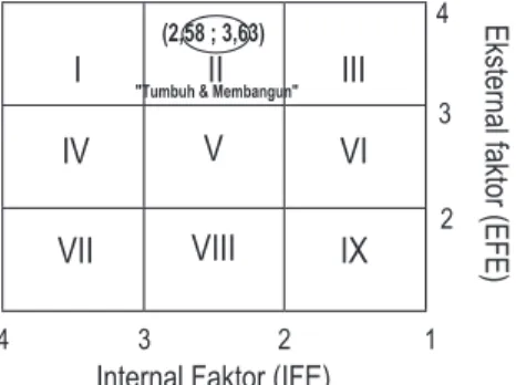 Gambar 4. Matriks EFE dan IFE