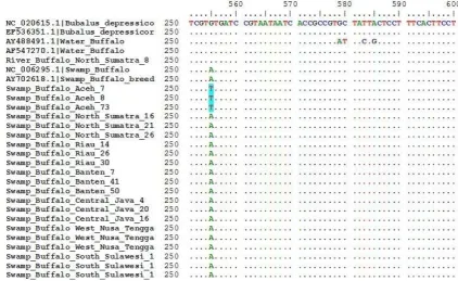 Table 3. Haplotype and polymorphic site