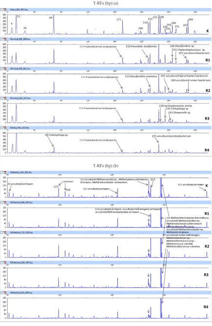 Figure 2. T-RFLP 16S rDNAs profile after digested by  AluI; (a) bacteria and (b) methanogens