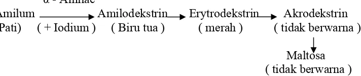 Gambar 4. Hidrolisa pati oleh enzim α-amilase ( Anonymous, 2006) 