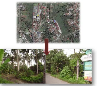 Gambar 2.6 Lokasi Site Jl. Jamin Ginting km 11,5 