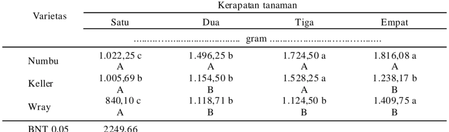 Tabel 8. Pengaruh interaksi varietas sorgum dan kerapatan tanaman terhadap bobot brangkasan kering/ m 2   tanaman