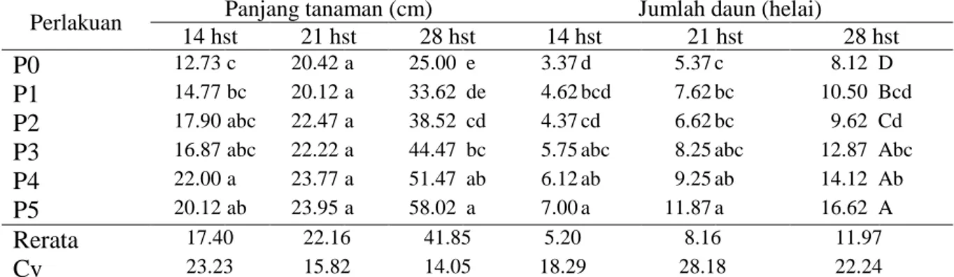 Tabel 1. Panjang Tanaman (cm) dan Jumlah Daun (helai) tanaman melon pada umur 14, 21,  dan 28 (hari setelah tanam) pada pemberian POC kotoran sapi dan mulsa plastik