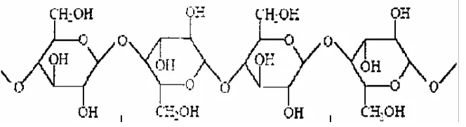 Gambar 2.10. Struktur Molekul Selulosa (Bledzki & Gassan, 1999) 
