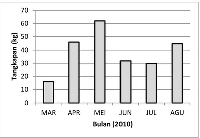 Gambar  4    Hasil  tangkapan  ikan  kerapu  macan  di  perairan  Semak  Daun  periode  Maret  2011  sampai dengan Agustus 2011