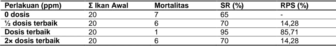 Tabel  4.  Survival  Rate  (SR)  dan  Relative  Percent  Survival  (RPS)  Ikan  Kerapu  Macan  Pasca  Infeksi 