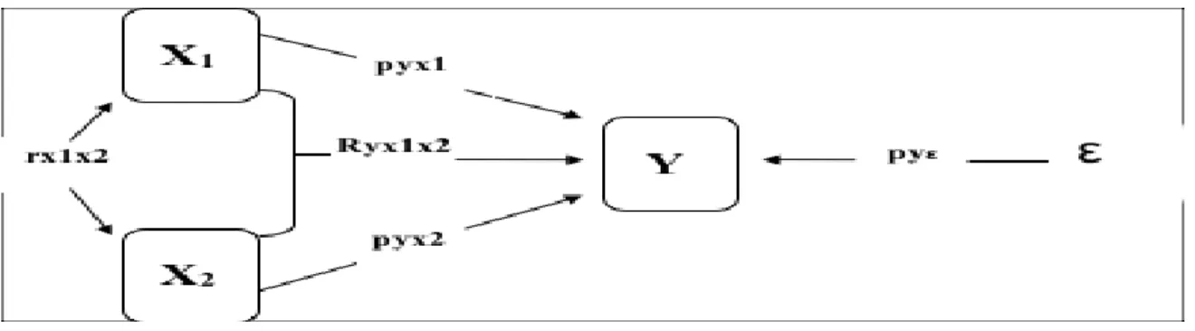Gambar 1. Paradigma Penelitian 