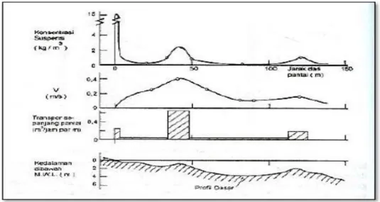 Gambar  2.10  Konsentrasi  sedimen,  arus,  dan  transport  sepanjang  pantai  (Triatmodjo,1999) 