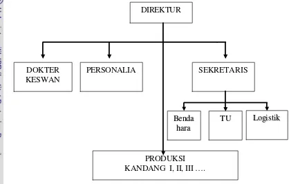 Gambar  15. Struktur Organisasi CV. WANARA SATWA LOKA 