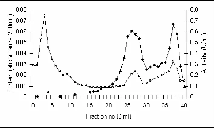 Figure 1.Elution profile of chitosanase and protein  during  hydrophobic interaction  chromatography