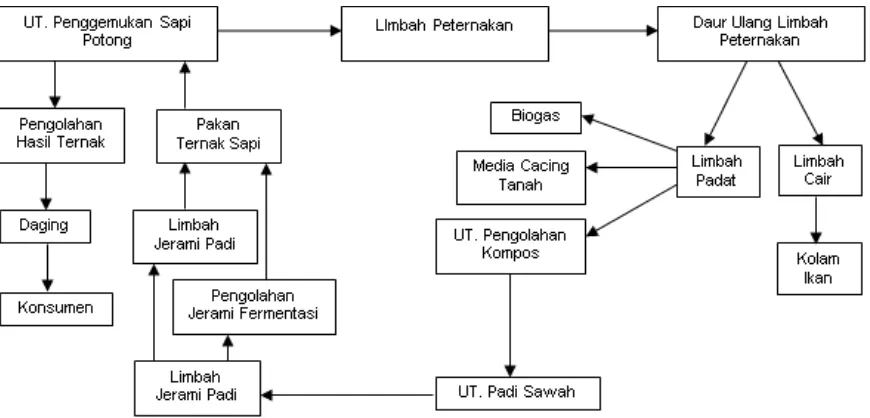 Gambar 1. Skema integrasi padi dan ternak sapi (Basuni et al., 2010). 