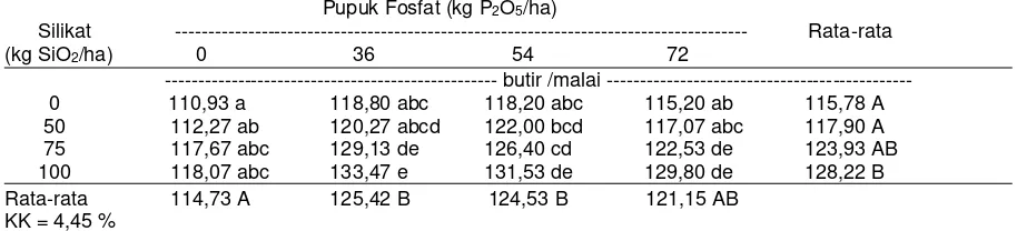 Tabel 5. Pengaruh pemberian silikat dan pupuk fosfat terhadap jumlah gabah per  malai tanaman padi gogo pada Ultisol 