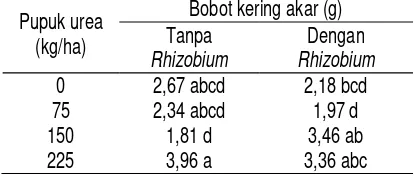 Tabel 4.  Interaksi Antara Rhizobium dan Urea 