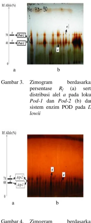 Gambar 2.  Zimogram  berdasarkan  persentase  R f   (Gb.a)  serta 