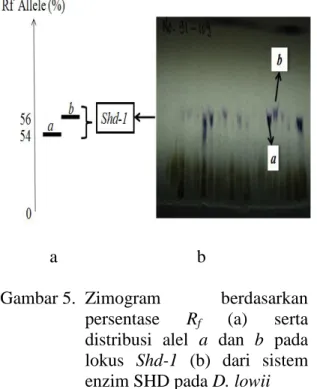 Gambar 6.  Zimogram  distribusi  alel  a  berdasarkan  persentase  R f   (a) 