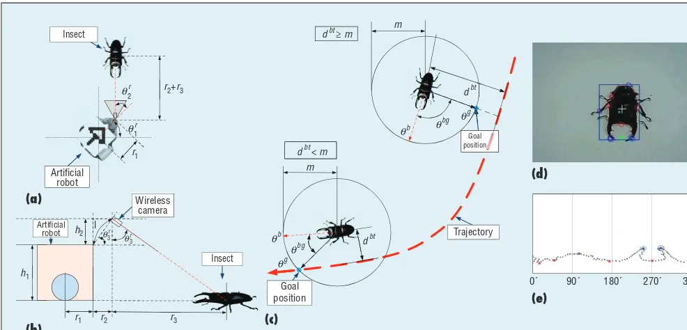 Figure 2. Finding the insect. (a) and (b) Note the geometric relation between the robot and the insect