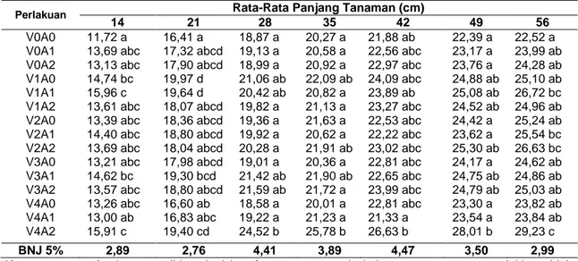 Tabel  1.  Rata-Rata  Panjang  Tanaman  (cm)  Akibat  Perlakuan  Kombinasi  Vermikompos  Berbahan Aditif Biochar dan Pupuk Anorganik Pada Umur  HST
