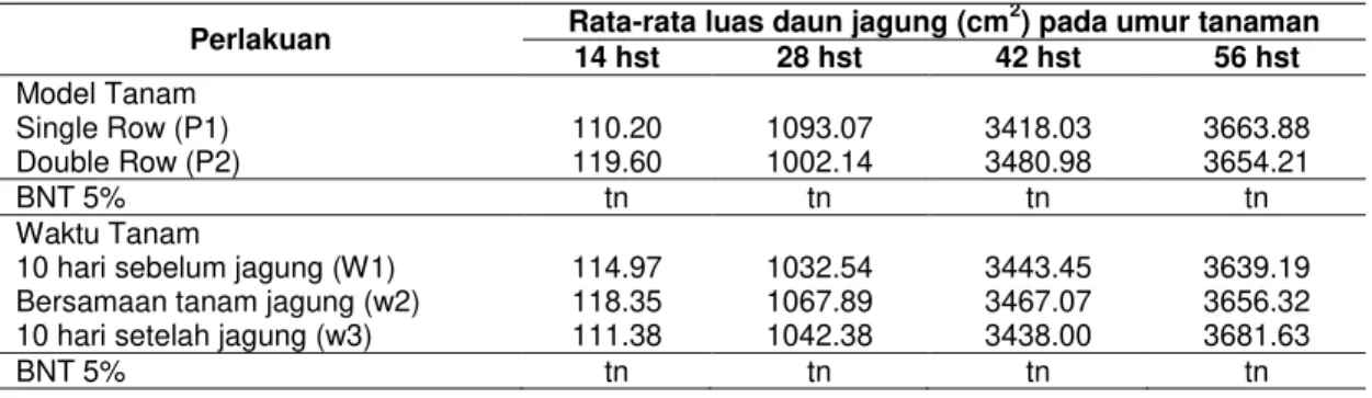 Tabel  2  Rerata  luas  daun  tanaman  jagung  (cm 2 )  akibat  perlakuan  model  tanam  jagung  dan  waktu tanam kacang tanah 