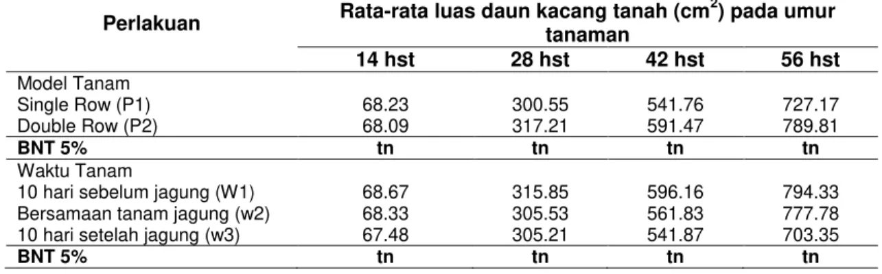 Tabel 12 Rerata luas daun tanaman kacang tanah (cm 2 ) akibat perlakuan model tanam jagung   dan waktu tanam kacang tanah