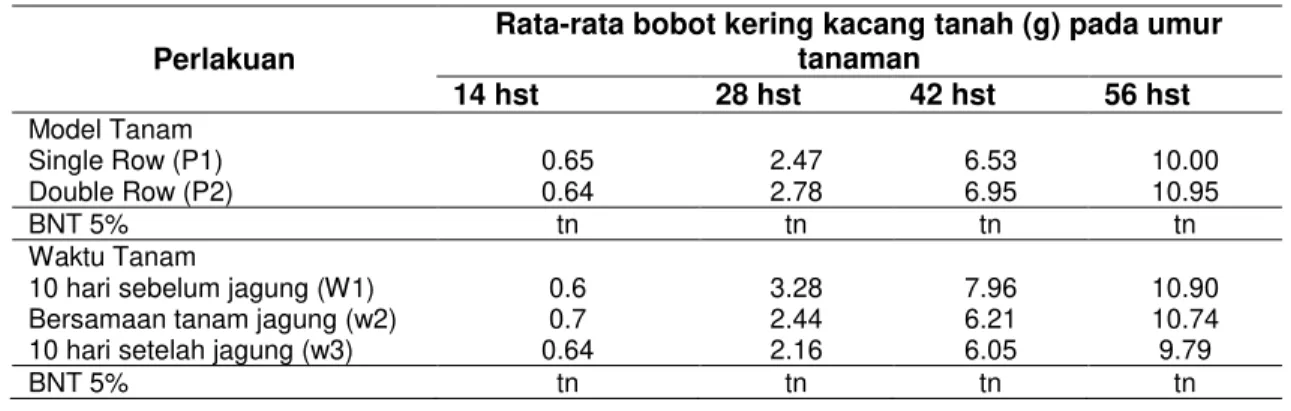 Tabel  14  Rerata  bobot  kering  total  tanaman  kacang  tanah  (g)  akibat  perlakuan  model  tanam  jagung dan waktu tanam kacang tanah 