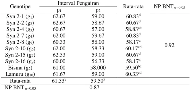 Tabel  7.  Rata-Rata Jumlah Klorofil  Daun pada Berbagai  Interval  Pengairan dan   Genotipe (mg/cm 2 ) 