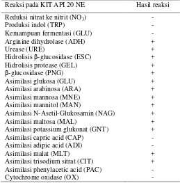 Tabel 3 Hasil uji biokimia/fisiologi isolat A13.1 