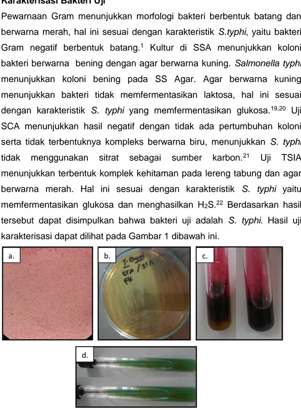 Gambar 1. Hasil Uji Karakterisasi Bakteri S. typhi: (A) pewarnaan gram;  (B) kultur di medium SSA; (C) uji TSIA; (D) uji SCA 