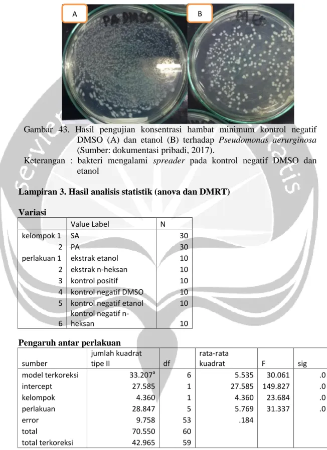 Gambar  43.  Hasil  pengujian  konsentrasi  hambat  minimum  kontrol  negatif  DMSO  (A)  dan  etanol  (B)  terhadap  Pseudomonas  aerurginosa  (Sumber: dokumentasi pribadi, 2017)