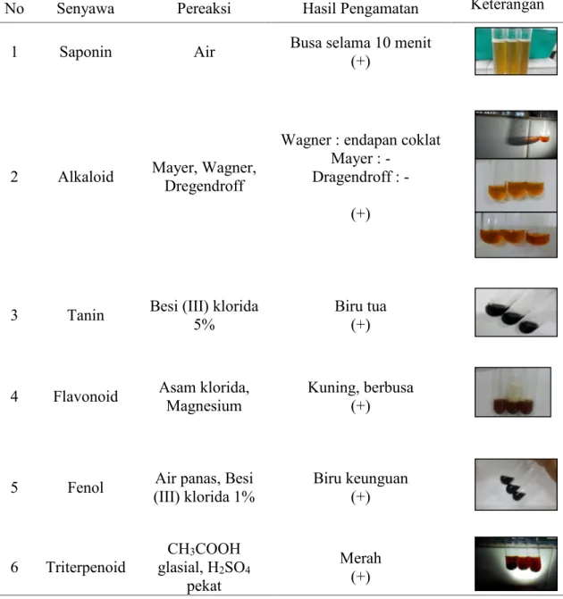 Tabel 1. Hasil skrining fitokimia infusa daun mangga bacang (Data primer, 2015)