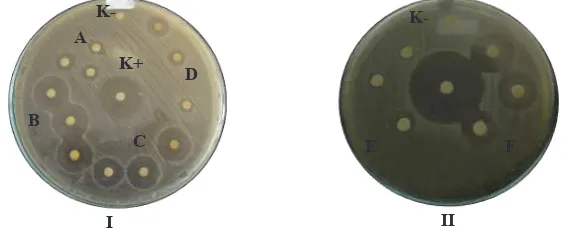 Tabel 4. Diameter hambat atranorin dan asam lobarat pada bakteri uji.